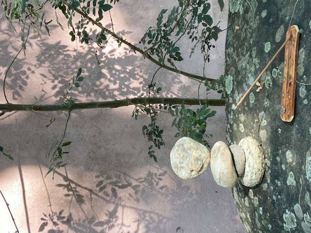 Zen.nl, Zen, meditatie, leren mediteren, foto